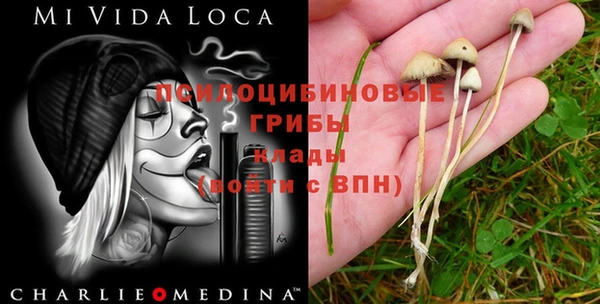 прущие крисы Рославль