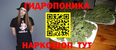 гашик Заволжье