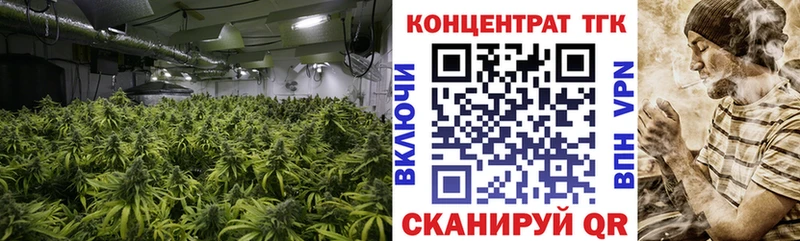 сколько стоит  Майский  Дистиллят ТГК концентрат 