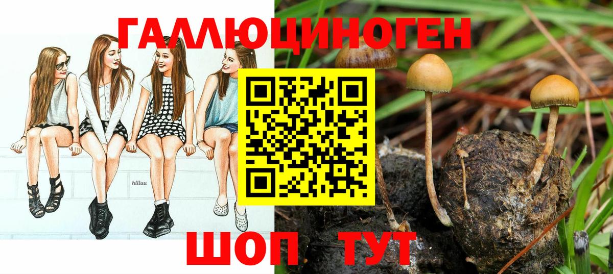Галлюциногенные грибы MAGIC MUSHROOMS  Вход с VPN  Псилоцибиновые грибы ЛСД  где найти наркотики  Майский 